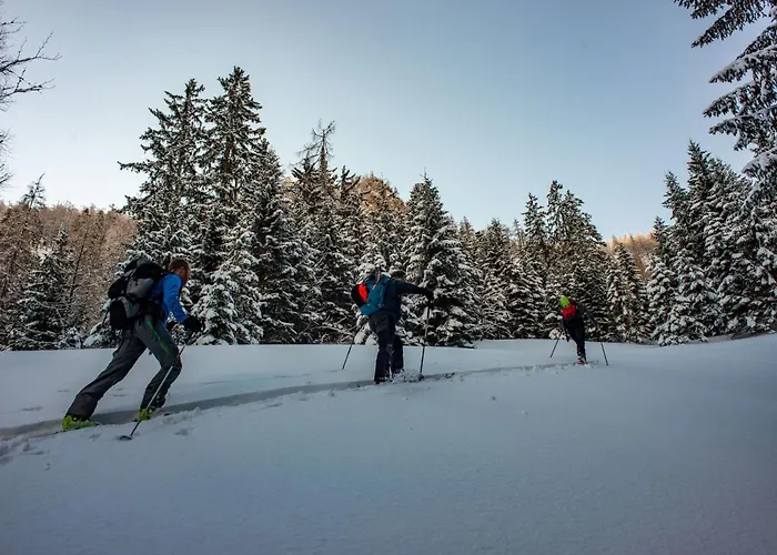 Naturparkresort 150 Appartamento Palfau